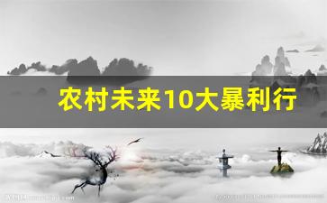 农村未来10大暴利行业 视频(2024年十大冷门暴利生意)_https://www.taocizhiliang.com_设计报价_第1张